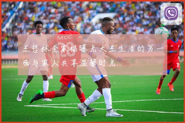 王哲林全家福曝光大王生活的另一面与家人共享温馨时光