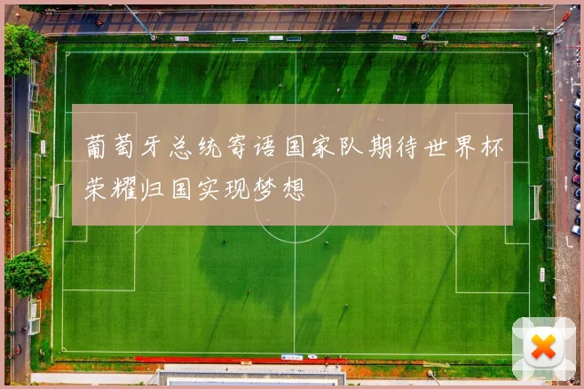 葡萄牙总统寄语国家队期待世界杯荣耀归国实现梦想