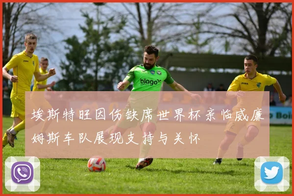 埃斯特旺因伤缺席世界杯亲临威廉姆斯车队展现支持与关怀